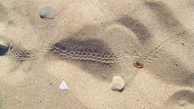 Kos - Footprint on sand. Kardamena beach