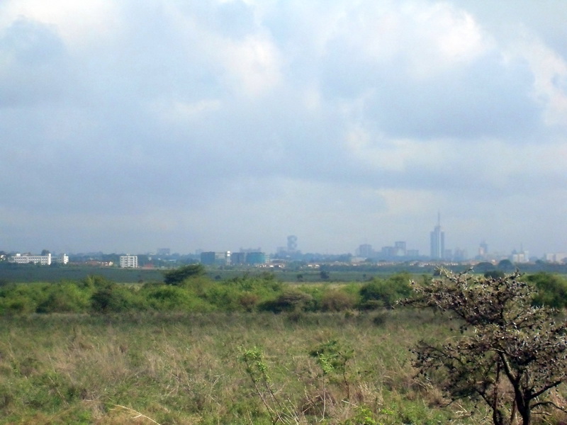 Kenia, Nairobi - park, city view
